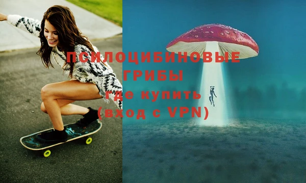 ПСИЛОЦИБИНОВЫЕ ГРИБЫ Алексеевка