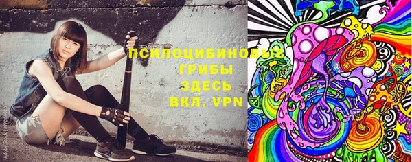 тгк Алексин