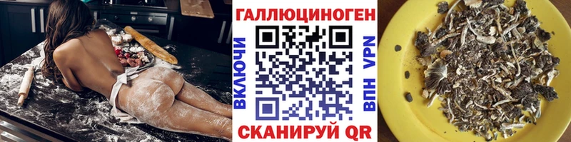 даркнет сайт  Волгодонск  omg онион  Галлюциногенные грибы Psilocybine cubensis 